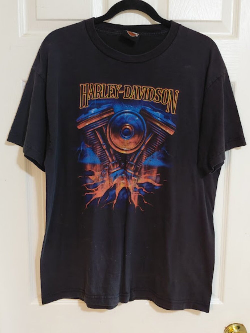 Harley-Davidson Motorcycle Kegel’s Rockford, IL V-Twin Engine Flames Graphic UV